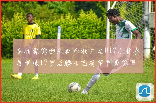 多特蒙德迎来新血液三名U17小将参与训练17岁后腰卡巴有望首秀德甲