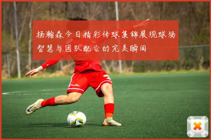 杨瀚森今日精彩传球集锦展现球场智慧与团队配合的完美瞬间
