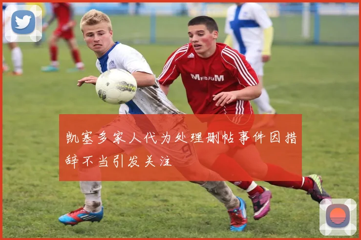 凯塞多家人代为处理删帖事件因措辞不当引发关注
