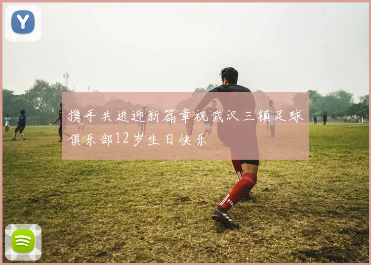 携手共进迎新篇章祝武汉三镇足球俱乐部12岁生日快乐