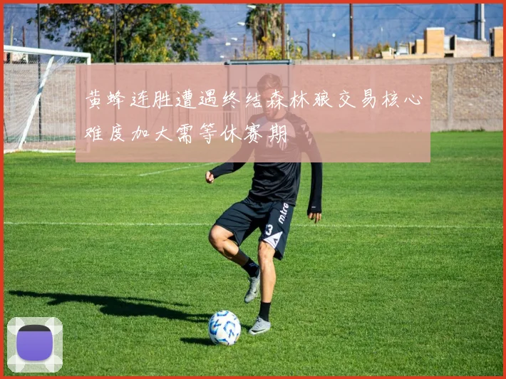 黄蜂连胜遭遇终结森林狼交易核心难度加大需等休赛期
