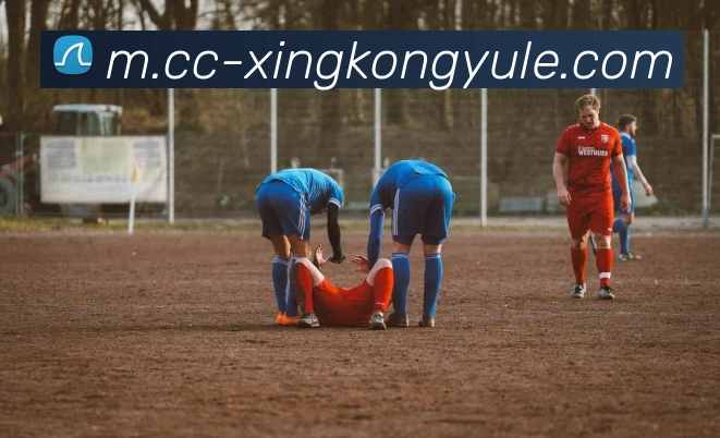 星空娱乐平台生态图